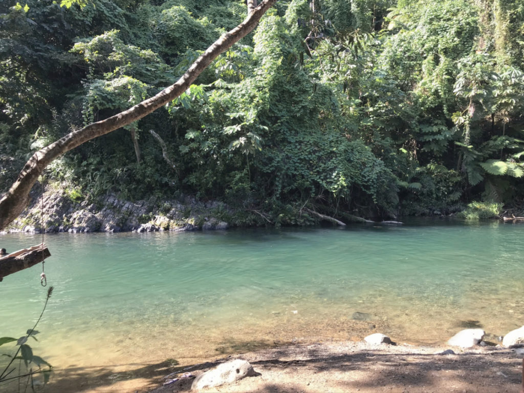 El Yunque, floresta nacional em Porto Rico.