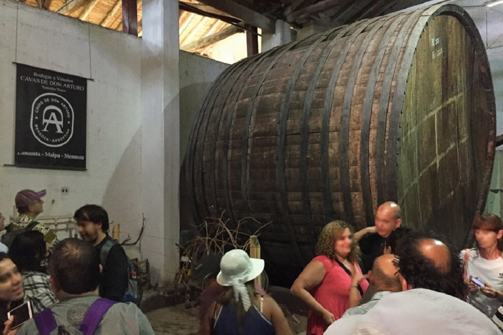 Mendoza - Visitando vinícolas com operadora de turismo
