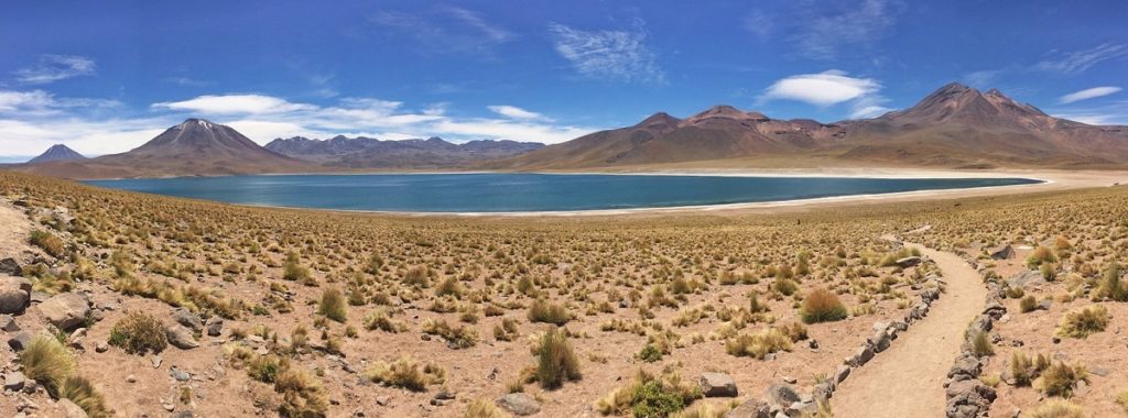 Salar de Atacama, Piedras Rojas e Lagunas Altiplânicas